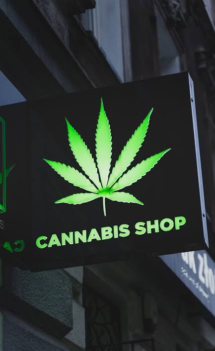 Buy marijuana with delivery in Prague